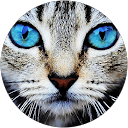 Dominika Sobierajska profile picture